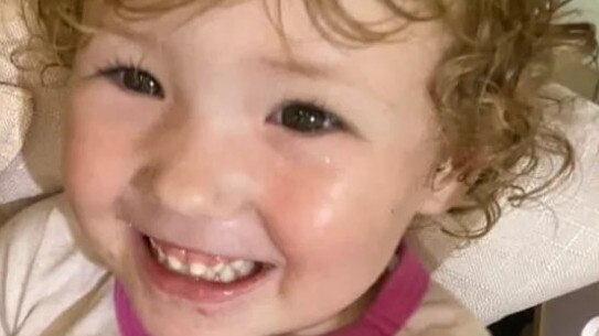 Little girl, 3, who loved dolls, animals killed in tragic crash