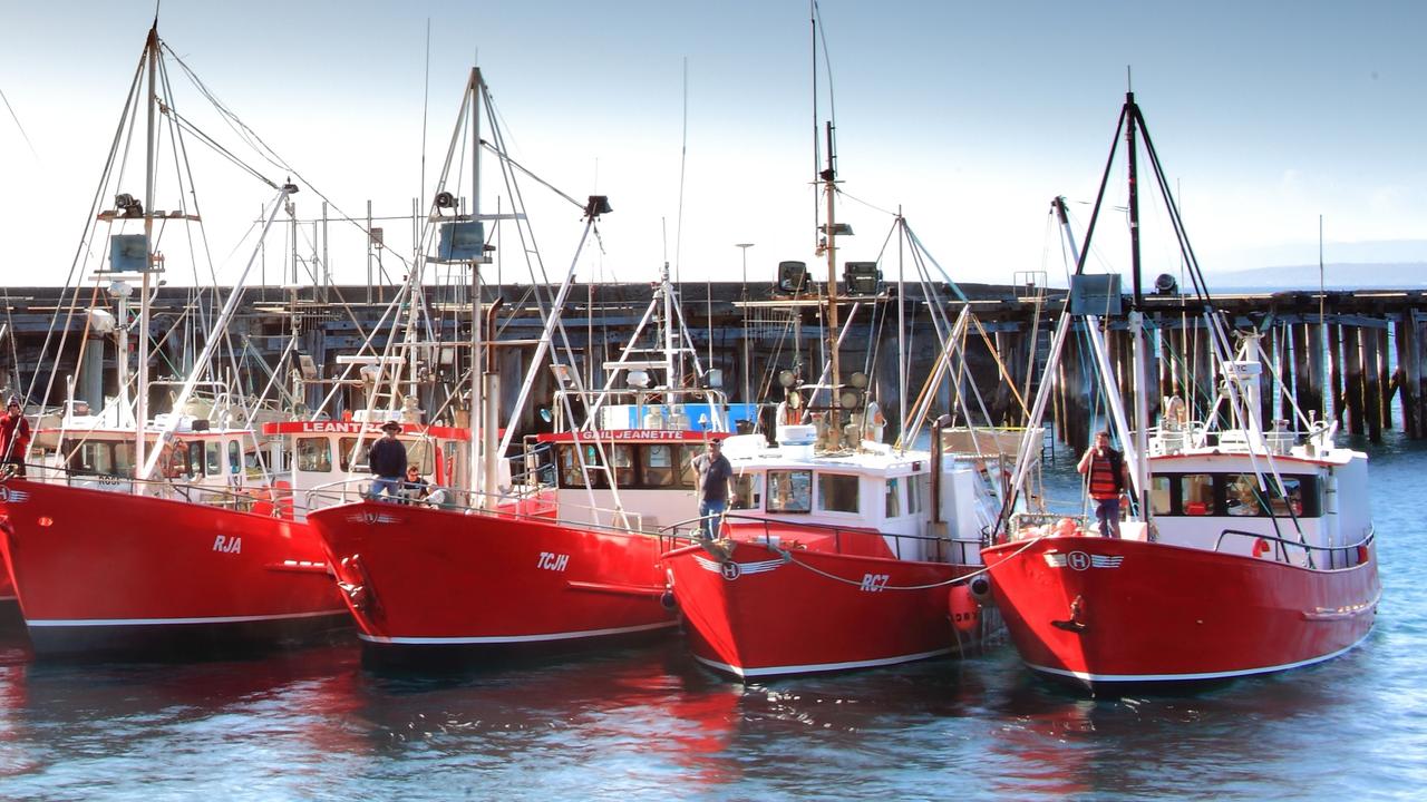 Hursey Seafoods’ fleet of red boats lined up at the Stanely wharf, which source the wild-caught seafood for the award-winning restaurant. Picture: Supplied