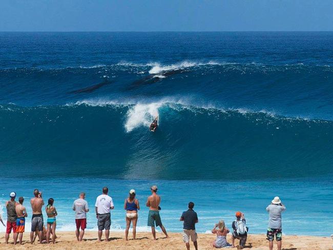 Surfing with whales at Pipeline beach Pic: from Hawaii State Bodysurfing Association Facebook.