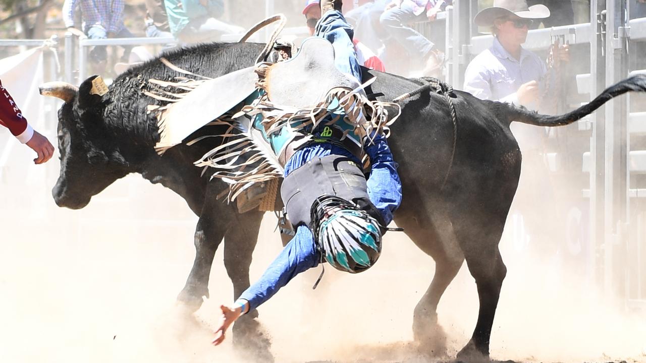 PHOTO GALLERY Mt Junior Rodeo Mini Bull Riding September 26