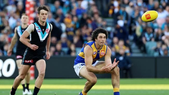 Tom Barrass is among the ins for the Eagles. Picture: James Elsby/AFL Photos via Getty Images