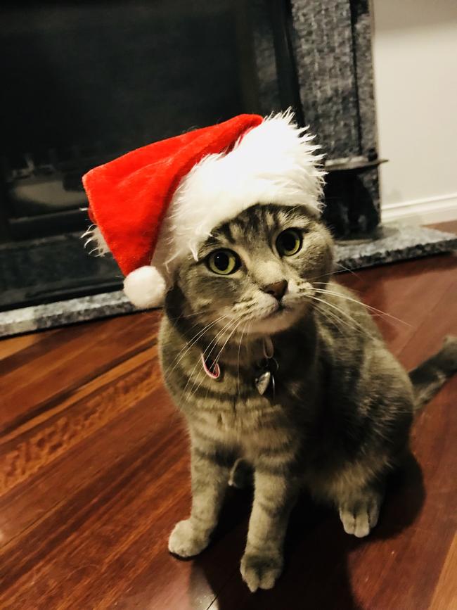 Gemma from Donvale. Picture: Sarah