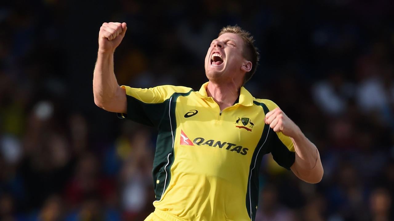 James Faulkner has played 95 matches for Australia.