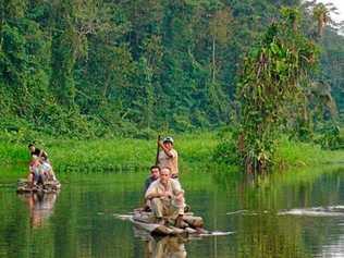 The Amazon Jungle. Picture: Contributed