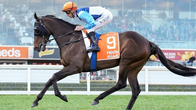 Duais will run in the Cox Plate.