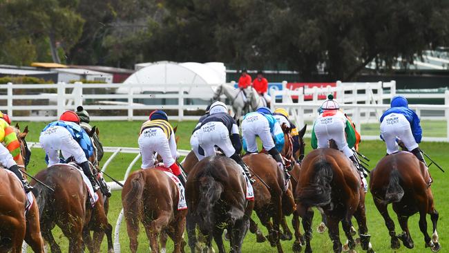 With the field dawdling around the first turn jockey Pat Cosgrave sends Best Solution (far right) forward as the widest runner with minimal fuss.