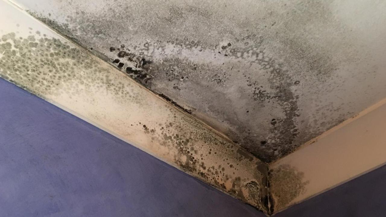 Australians are at constant war with mould as a result of record rain. Picture: Facebook