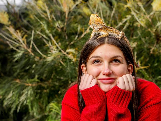 Charlie Coles, 13 with her bearded dragon Joey. Picture: Tim Carrafa