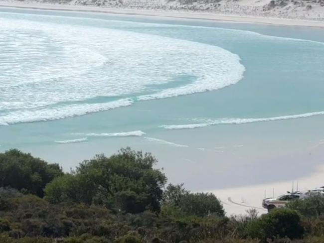 Witnesses have recounted the horrific moment a surfer was mauled by a shark off a remote beach in Western Australia, while his partner watched on. Emergency services were called to Wharton Beach in Cape Le Grand, Condingup, approximately 60km east from Esperence, about 12.10pm AWST Monday Picture: 9News