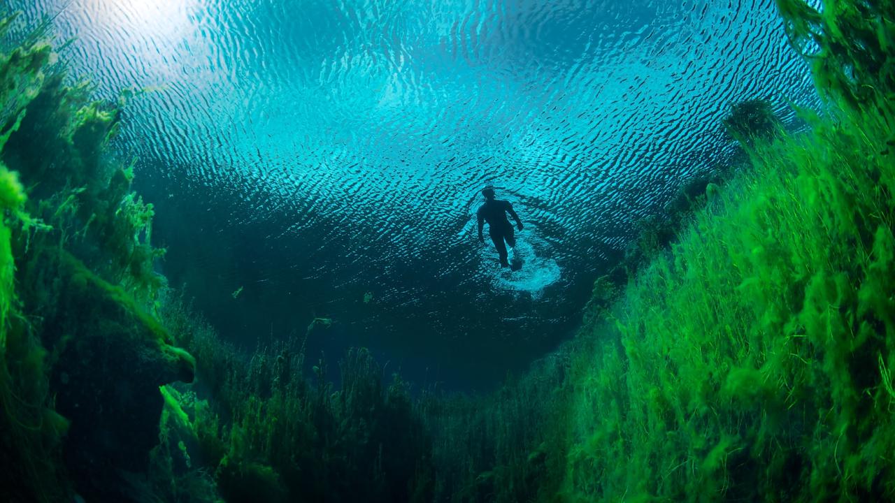 Freediver swimming in freshwater at Piccaninnie ponds conservation park.