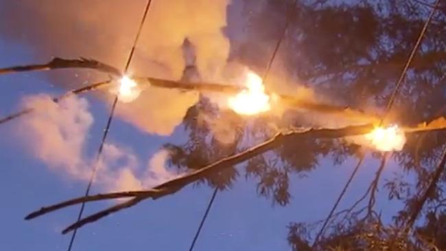 A branch catches alight after falling on to powerlines on Goodwood Rd. Picture: 7NEWS