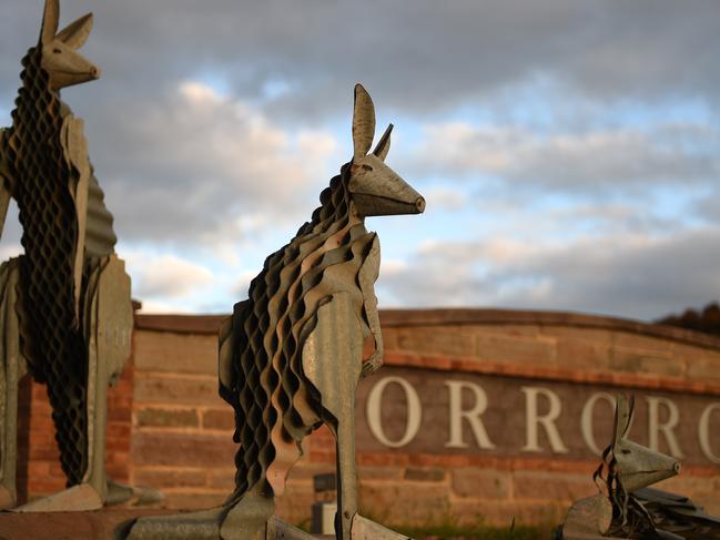 24/8/15 - Kangaroos in Orroroo. Photo Naomi Jellicoe