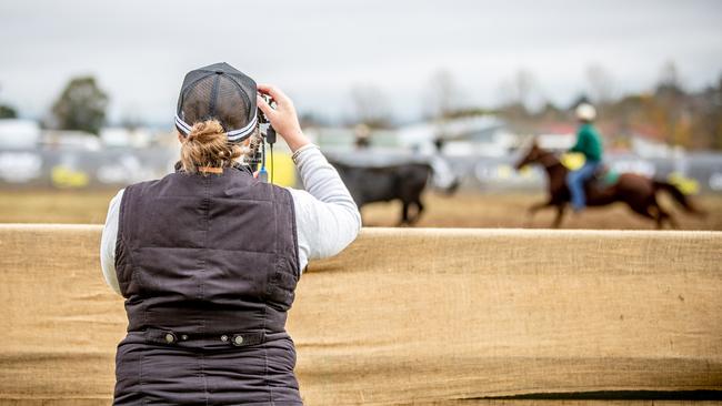 StockLive manager Libby Hufton filming competitive campdrafting action at the Ray White Epic Horse Sale and Campdraft.