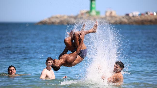 Mark Keane (in middle, in water) not long after joining Adelaide’s pre-season. Picture: James Hetherington/AFC Media