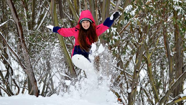 Falls Creek will be limiting numbers to the resort. Picture: Chris Hocking