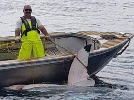 Fishing enthusiast Trapman Bermagui posted a photo to Facebook of the amazing moment this Department of Primary Industries employee caught the shark.