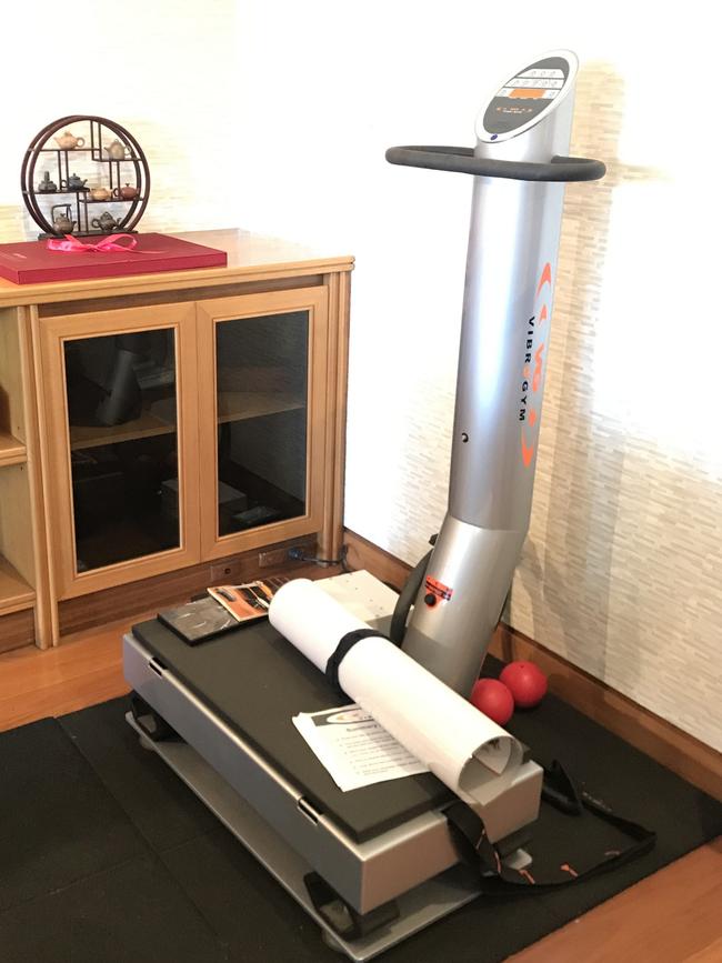 Auction of Bob Hawke & Blanche d'Alpuget Mementos Curiosities Art and Design: VibroGym and accessories. Picture: Supplied