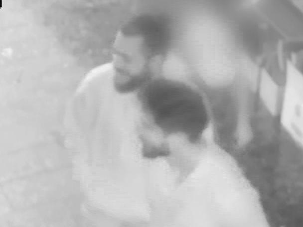 Police are seeking public help after a woman was allegedly sexually assaulted by two men who posed as rideshare drivers. Image: NSW Police