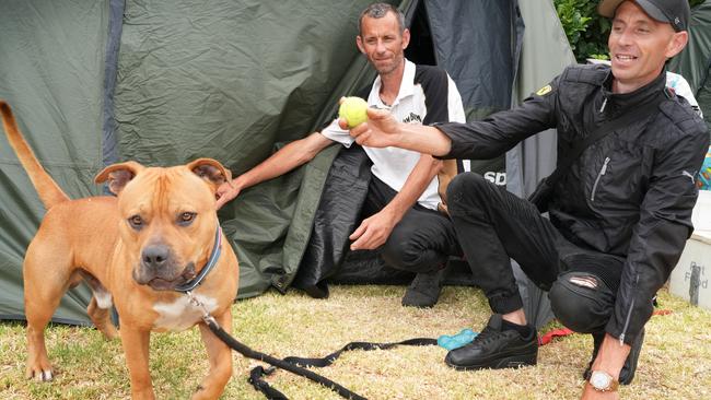 Homeless men at Bolivar Caravan Park - Identical twins, Scott (back), and Matt Bleach,43, their dog ÃBrutusÃ, have lived in tents for the past couple of years, but have now been offered housing, thanks largely to the efforts of community advocate, Sonia Blackwell. 26 December 2024. Picture: Dean Martin