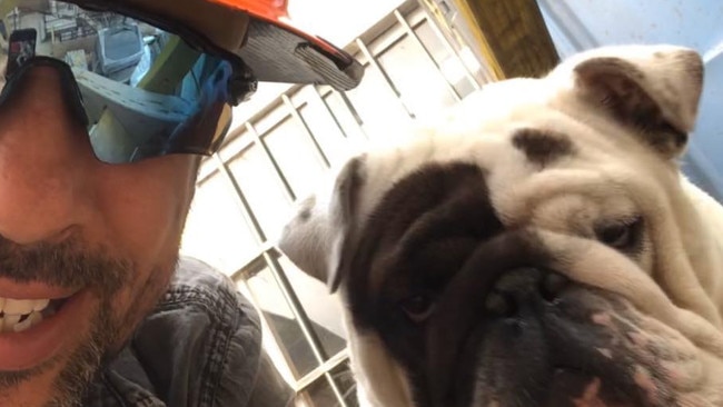 Frank the bulldog, who died on Qantas flight from Sydney to Melbourne, with his owner Anthony Balletta. Source: Facebook Anthony Balletta