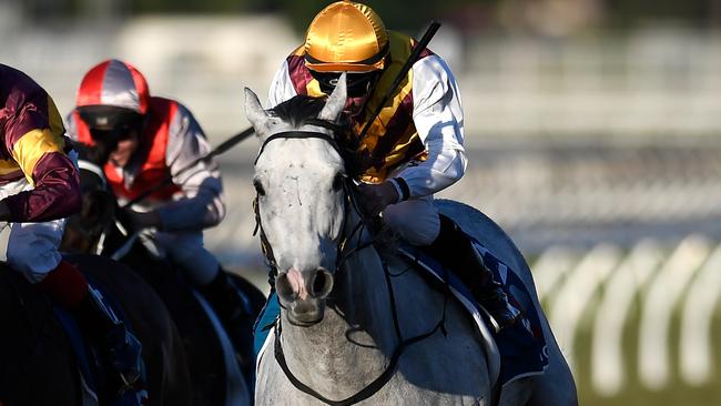 Silvera has been well backed to win at Eagle Farm. Picture: AAP