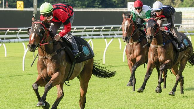 Group 1 winner Converge (red) wins has trialled very well ahead of his first-up run on Saturday. Picture: Getty Images