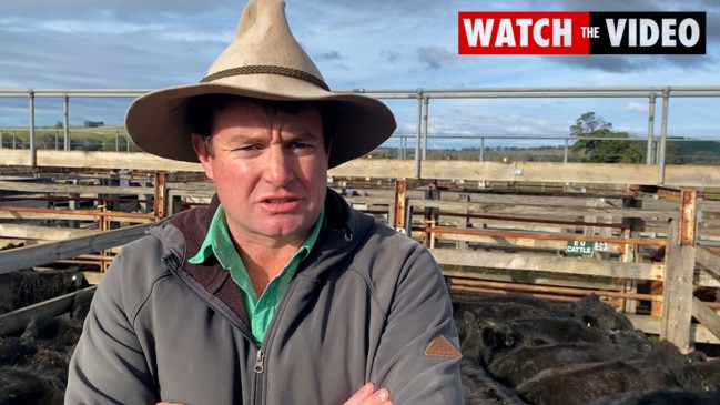 Casterton store cattle sale, June 24, 2021