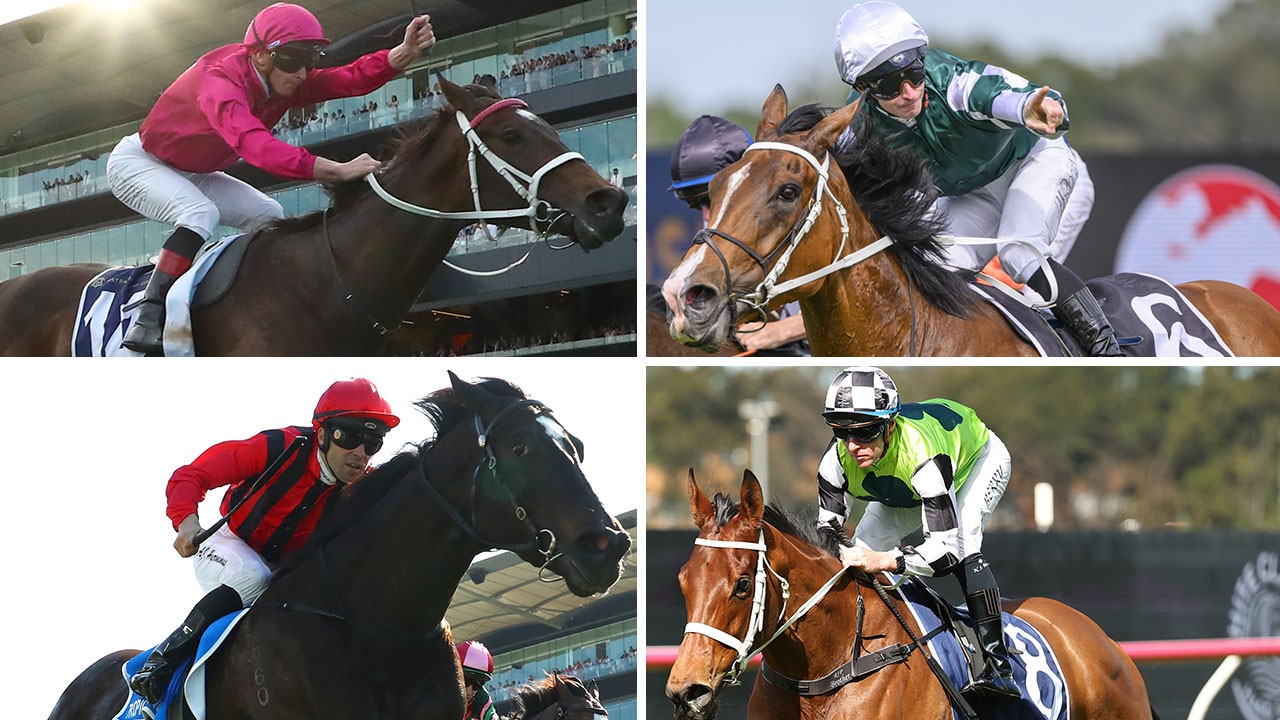 2024 Winx Stakes contenders (clockwise, from top left) Fangirl, Via Sistina, Zougotcha and Tropical Squall.