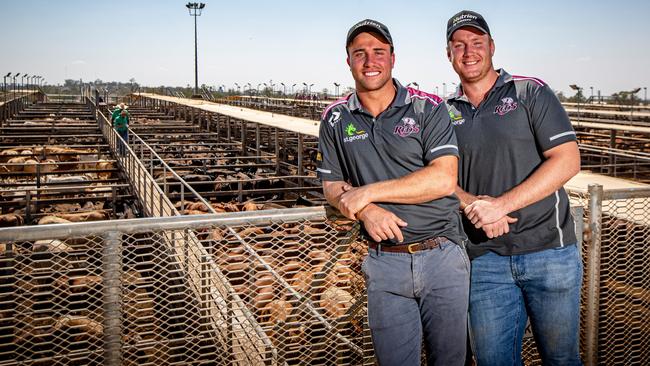 Queensland Reds players Hamish Stewart (left) and Harry Hoopert at the Roma saleyards on the Reds-to-Regions tour. Photo: Brendan Hertel.