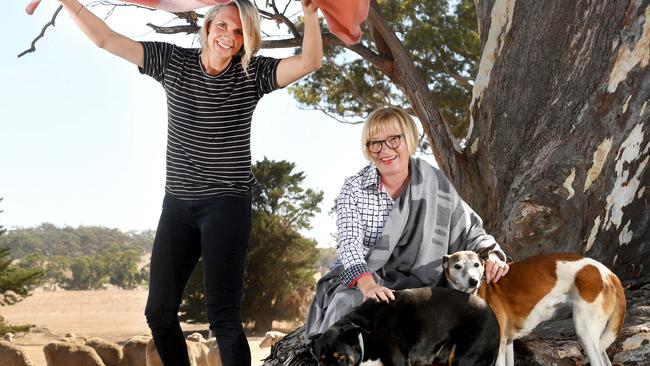 Jan Angas (right) pictured on her Hutton Vale Farm in 2018 with artist/designer Marnie Wark-Gilder and farm dogs Alfie and Missy. Picture: Tricia Watkinson