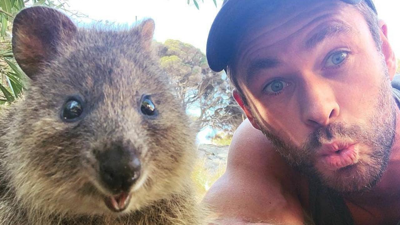 Surely Quokka dollars will be WA’s first choice of currency name? Picture: Instagram Chris Hemsworth.