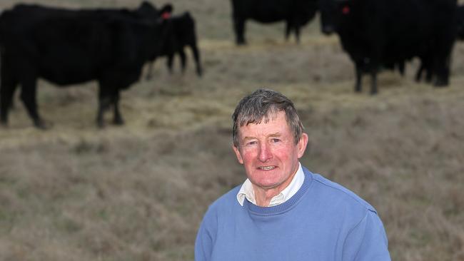 Mix and match: Keith Diprose runs a flock of first-cross ewes alongside his Angus.