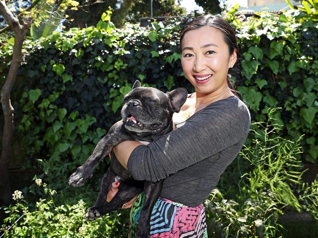 Maria Sun is planning to buy pet insurance soon for her French Bulldog Hugo. Picture: Tim Hunter.