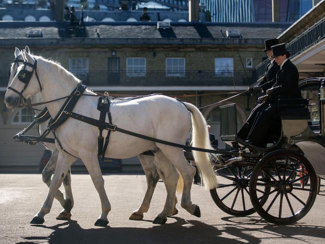 Two Windsor Greys will pull the carriage as the couple ride the streets of Windsor after the service. Picture: Victoria Jones/Pool via AP