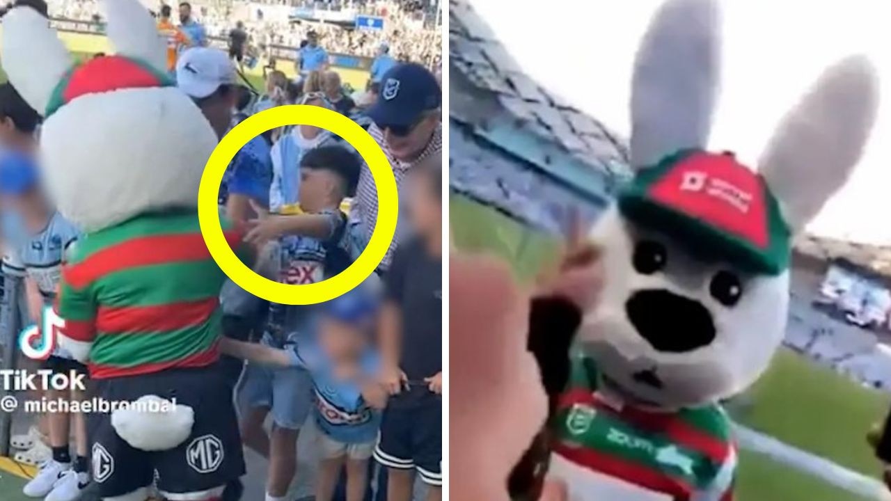 ‘HEARTLESS COWARDS’: Twist in ugly storm over NRL mascot incident