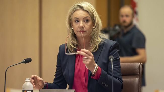 Mr Lehrmann had also worked for Nationals senator Bridget McKenzie. Picture: NCA NewsWire / Gary Ramage