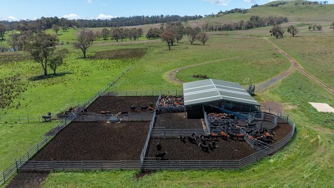 Steel cattle yards are part of the infrastructure at Doughboy Mountain.