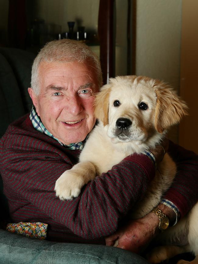 A lifelong animal lover Philip Brady was very proud of his Golden Retriever Oro. Picture: Andrew Tauber