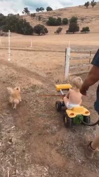 Victoria family has the best way to get around their farm