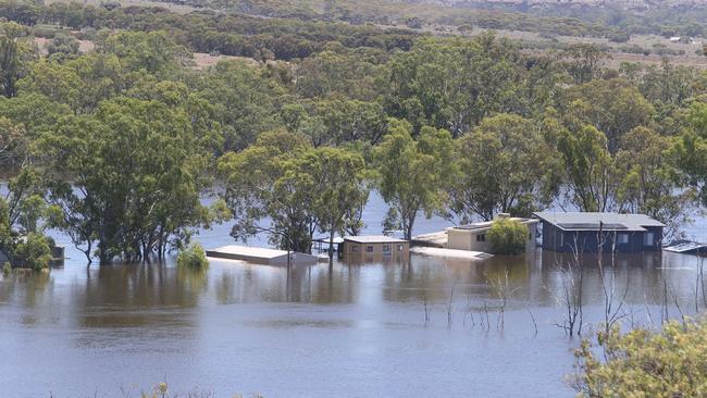 Scenes from Swan Reach as the Murray River waters continue to rise. Picture: Emma Brasier.