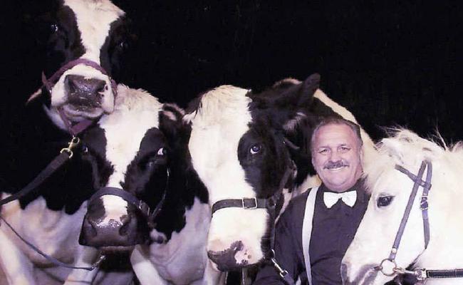 Circus Royale head trainer Robin Howell with his performing cows and pony Lobo. Picture: Contributed