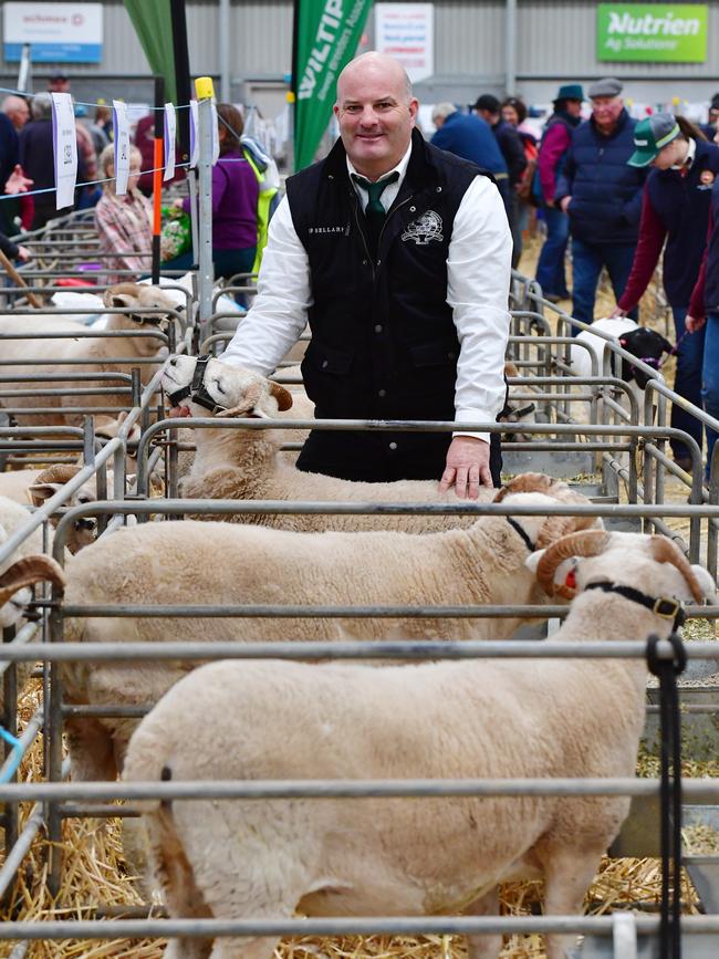 Vice president of the Bendigo Sheep and Wool show Jason O’Loghlin from Ologhlin Wiltshire Horns at Blighty, NSW. Picture: Zoe Phillips