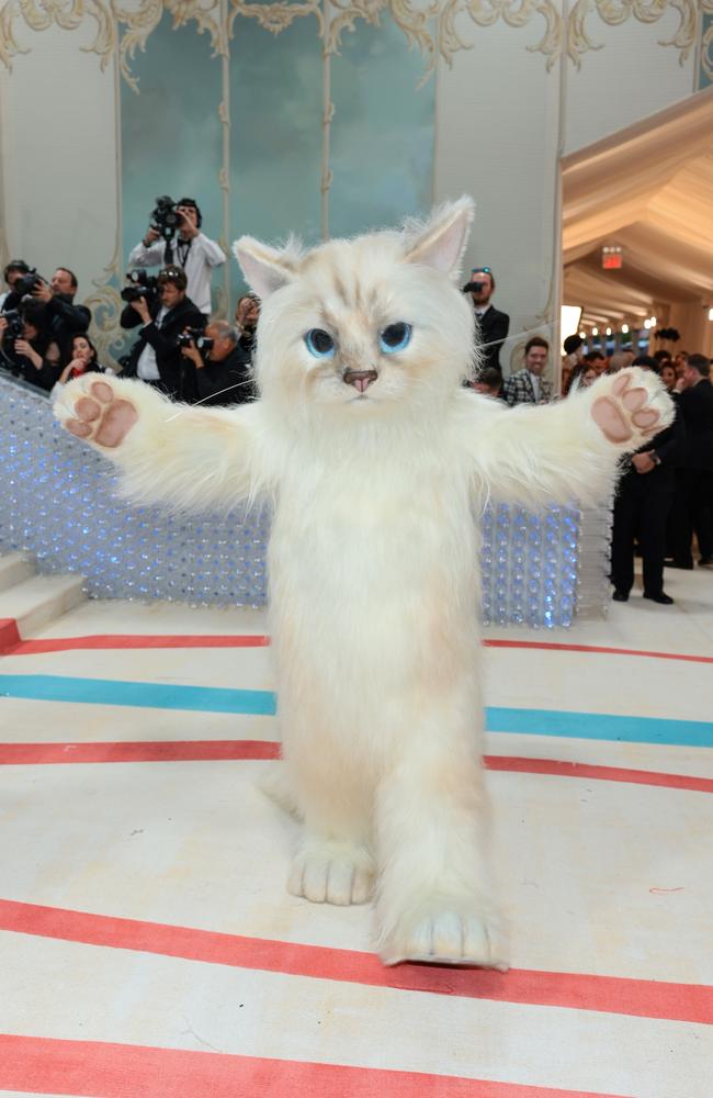 Choupette the cat... Picture: Dimitrios Kambouris/Getty