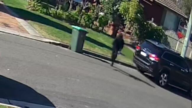 CCTV released in hunt for Greenacre shooter