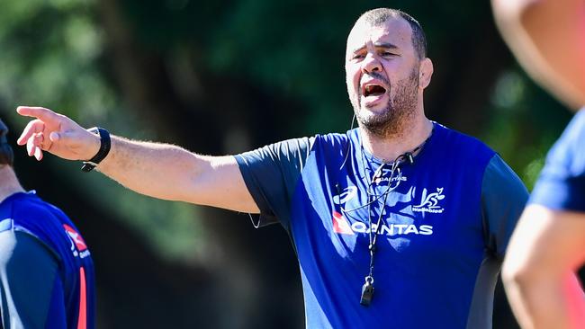 Wallabies coach Michael Cheika has given himself plenty of options at fullback. Picture: Stuart Walmsley/Rugby Australia