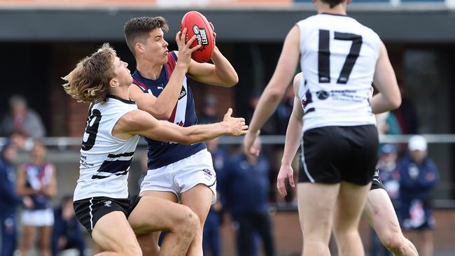 Logan Young playing for Sandringham. Picture: Steve Tanner