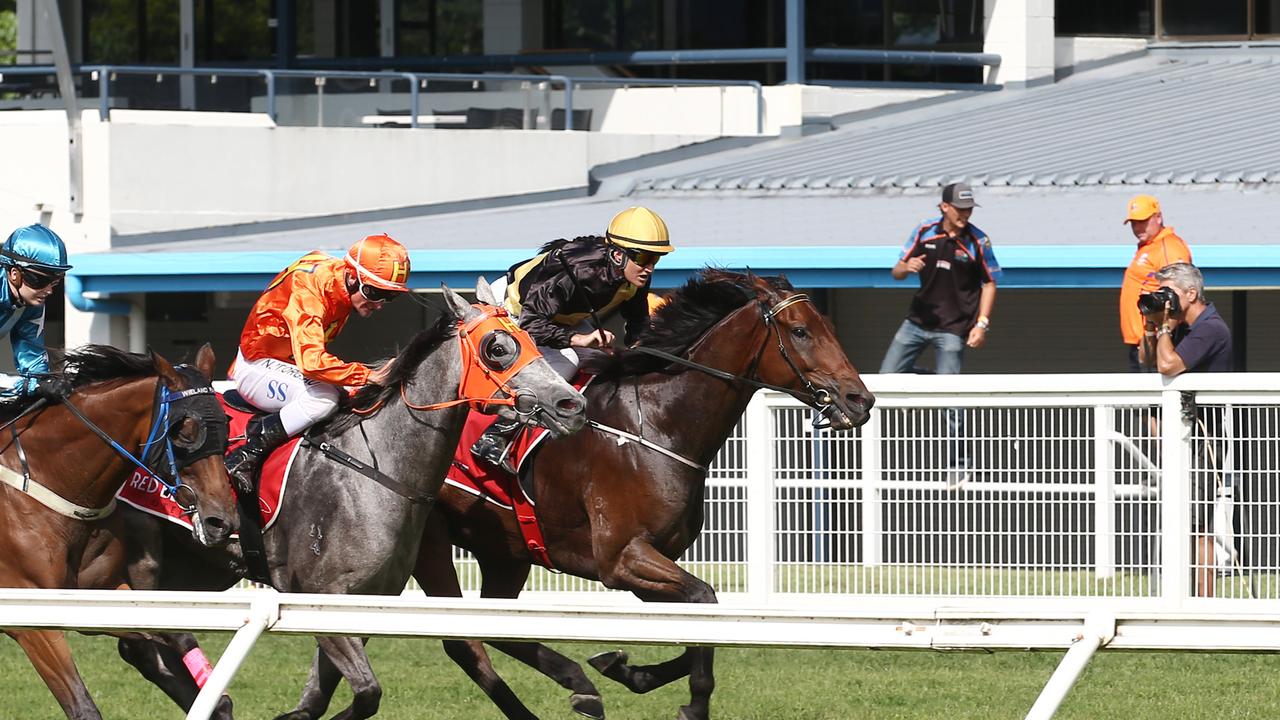 If the FNQ country Cups are run later in 2020, a local consistent ...