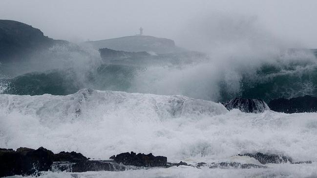 Incredible scenes on Korora Beach captured by Evol Coutman on Monday morning around 10am.