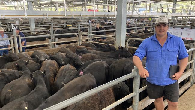 Davilak Pastoral Company’s Rodda Manning at the Wangaratta weaner sale. Picture: Madeleine Stuchbery