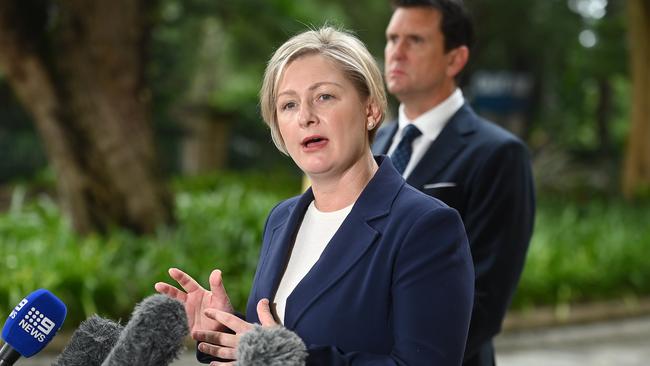 Minister for the Prevention of Domestic and Family Violence Amanda Camm with Police Minister Dan Purdie